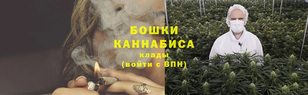 гидропоника Кодинск