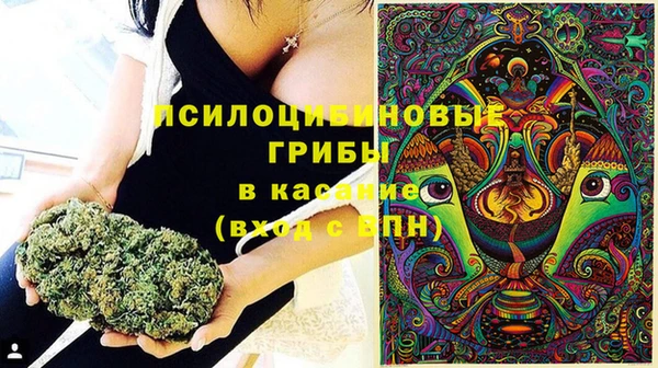 стаф Козловка