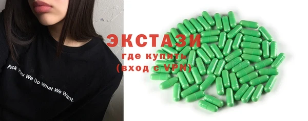 стаф Козловка