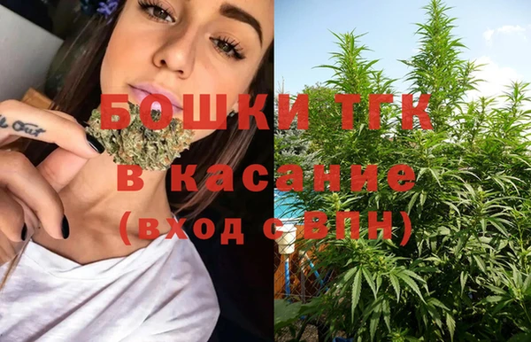 гидропоника Кодинск