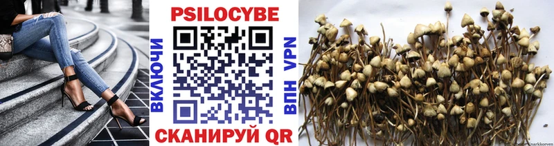 Псилоцибиновые грибы Psilocybe Зея