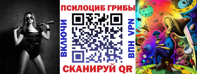 Псилоцибиновые грибы Psilocybine cubensis  Купить закладки  Зея 